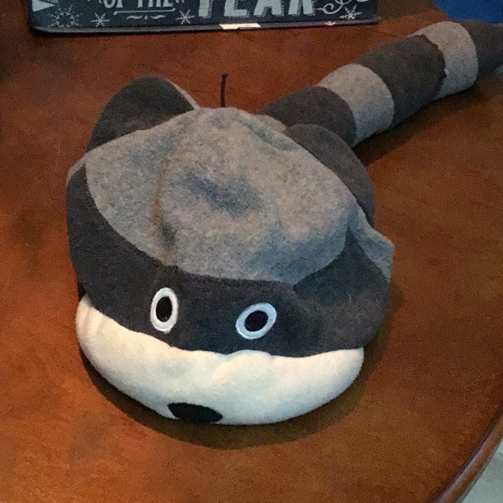 Mental Gear Raccoon Playful Cap Hat
